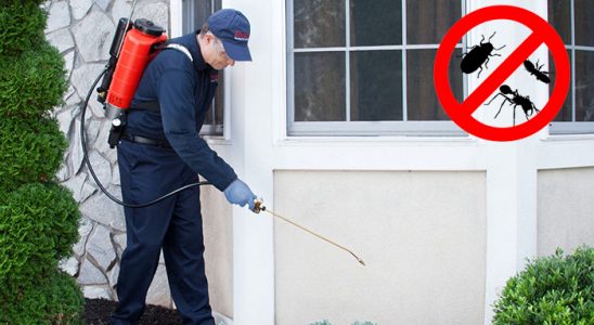 Sivrice Fare İlaçlama böcek ilaçlama ve haşere kontrolü — ilaclama-tr.com